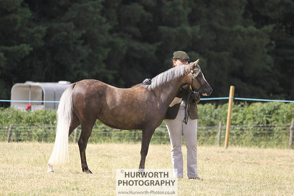 2013 Osmotherley Show 014