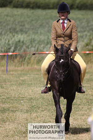 2013 Osmotherley Show 139