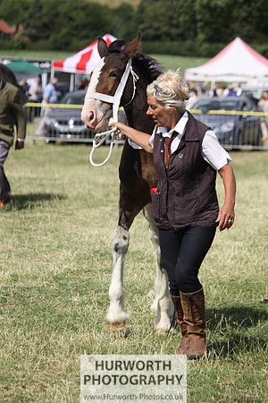 2013 Osmotherley Show 169