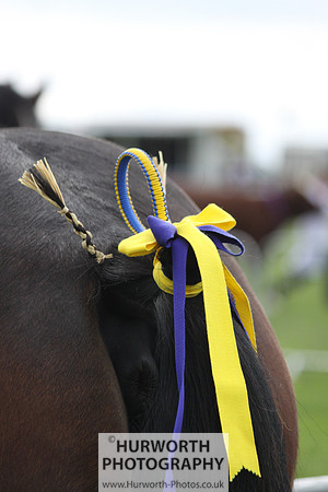 North Yorkshire County Show 127
