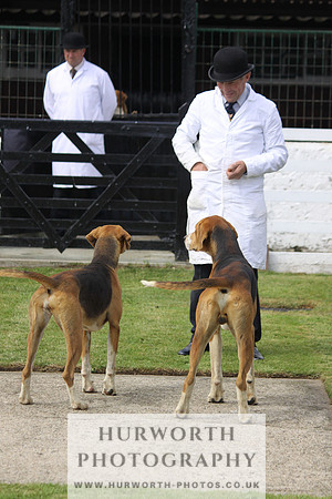 Hurworth Hunt Puppy Show 106
