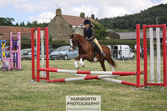 2013 Osmotherley Show 050