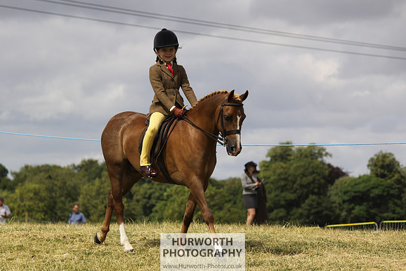 2013 Osmotherley Show 057