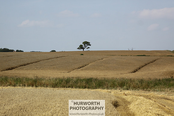 Countryside 058