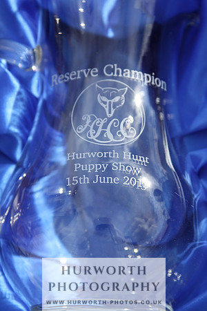 Hurworth Hunt Puppy Show 147