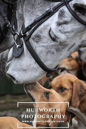 Hurworth Hunt 041