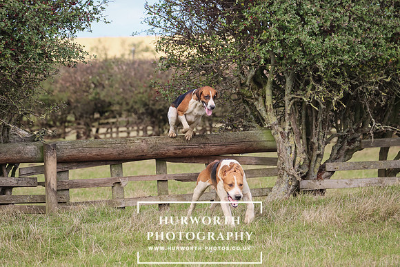 Hurworth Hunt 26