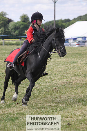 2013 Osmotherley Show 279