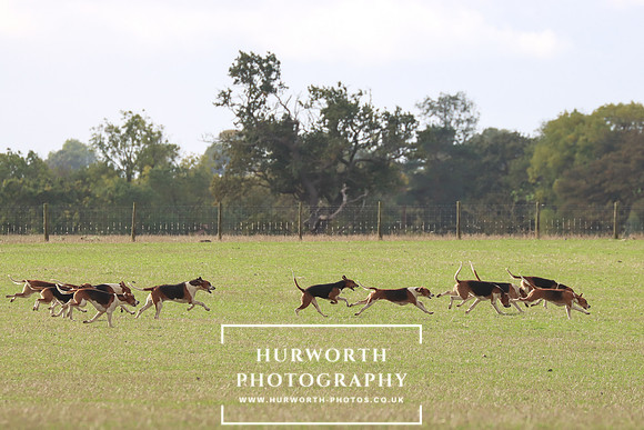 Hurowth Hunt 27