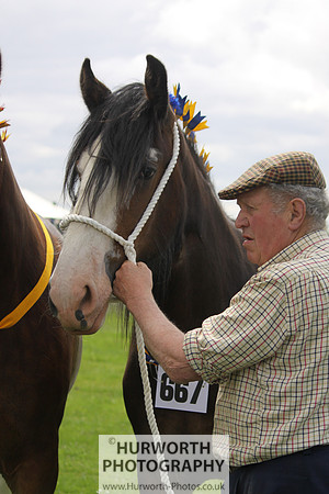 North Yorkshire County Show 057