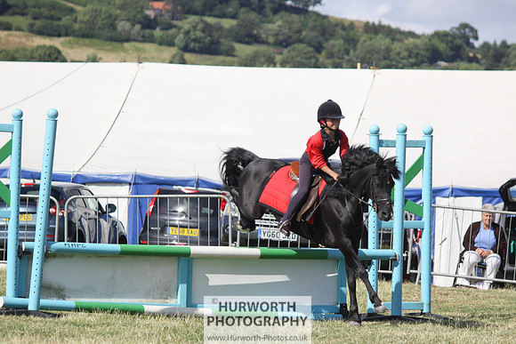 2013 Osmotherley Show 298