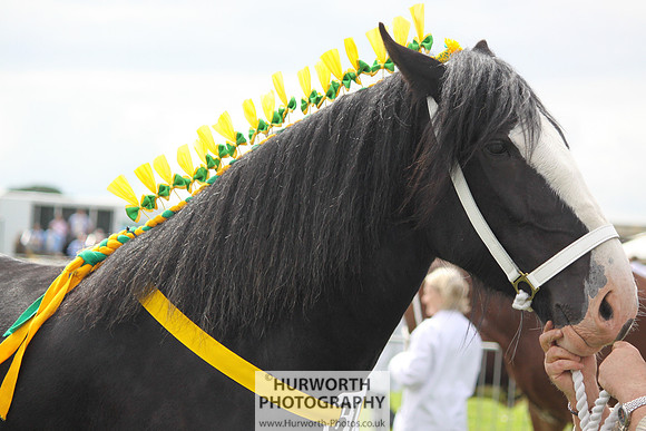 North Yorkshire County Show 086