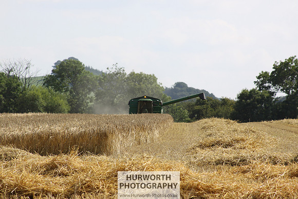 Countryside 063