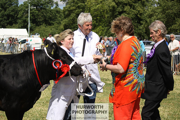 2013 Osmotherley Show 222