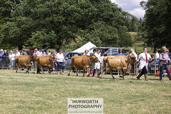 2013 Osmotherley Show 186