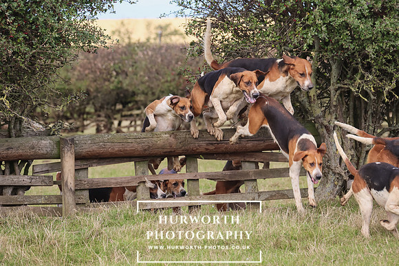 Hurworth Hunt 17
