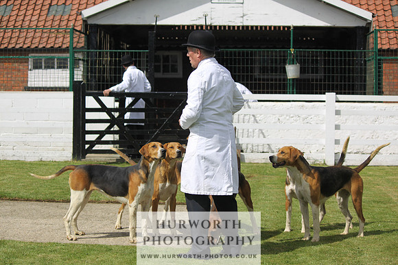 Hurworth Hunt Puppy Show 082