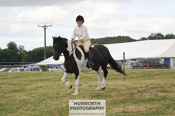 2013 Osmotherley Show 040