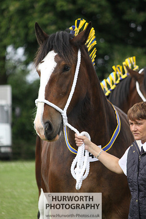 North Yorkshire County Show 125