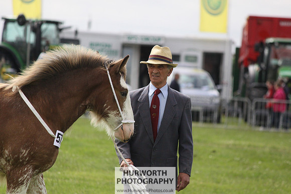 North Yorkshire County Show 084