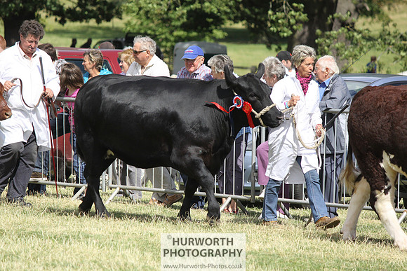 2013 Osmotherley Show 193