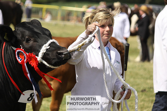 2013 Osmotherley Show 220