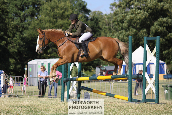 2013 Osmotherley Show 384