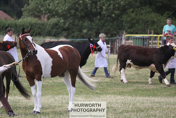 2013 Osmotherley Show 235