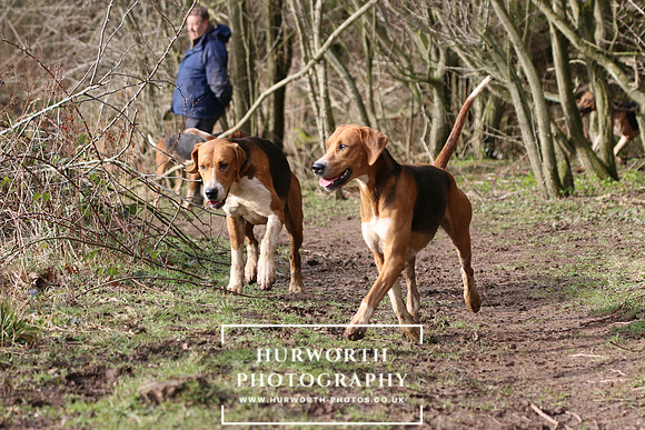 Hurworth Hunt 447