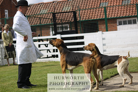 Hurworth Hunt Puppy Show 113