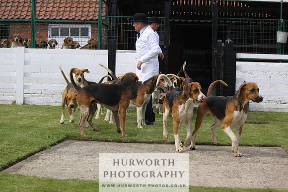 Hurworth Hunt Puppy Show 133
