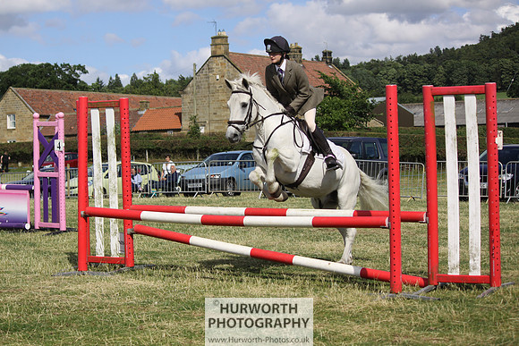 2013 Osmotherley Show 286