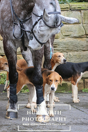 Hurworth Hunt 040