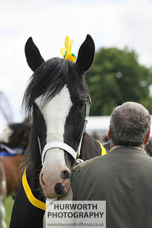 North Yorkshire County Show 096