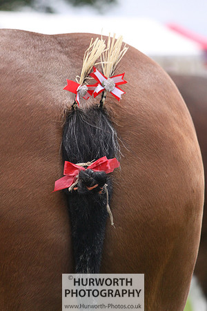 North Yorkshire County Show 062