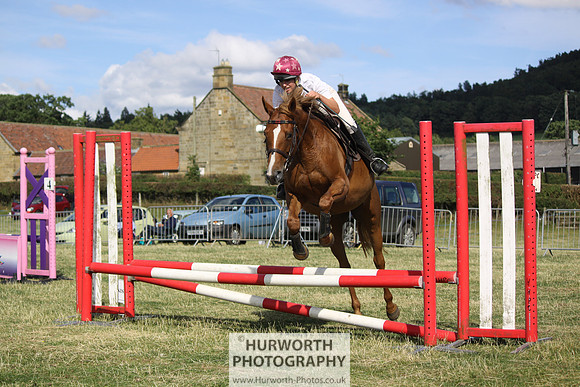 2013 Osmotherley Show 324