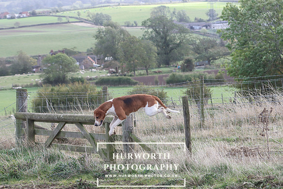 Hurowth Hunt 93