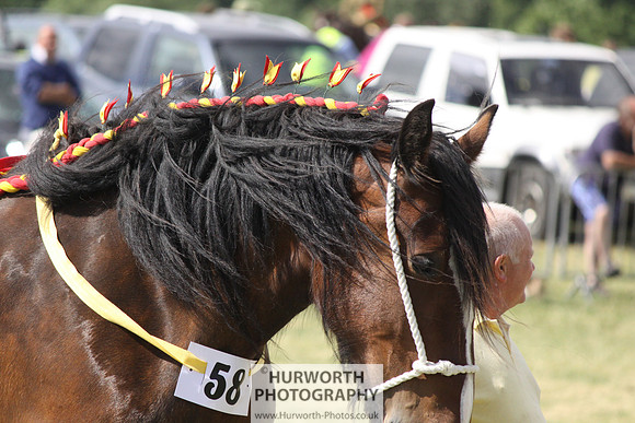 2013 Osmotherley Show 178