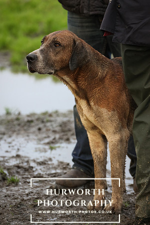 Hurworth Hunt 205