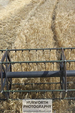 Countryside 041