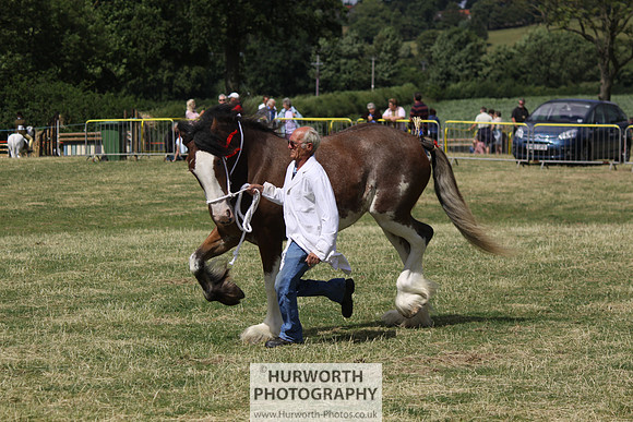 2013 Osmotherley Show 097