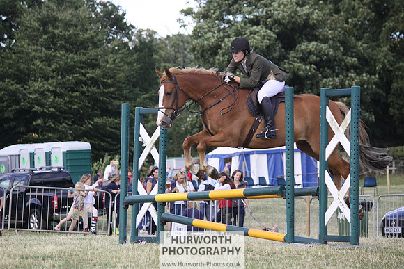 2013 Osmotherley Show 348