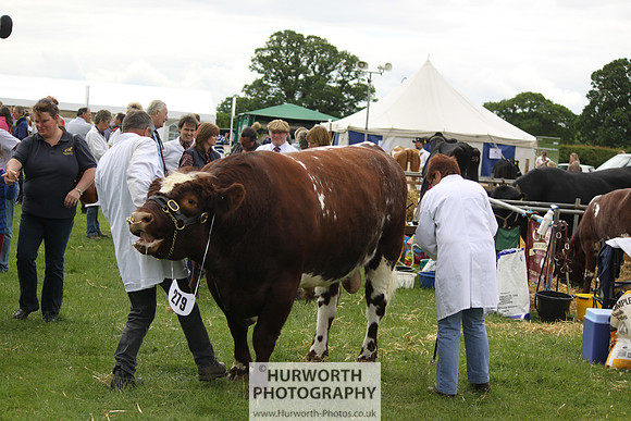 North Yorkshire County Show 131