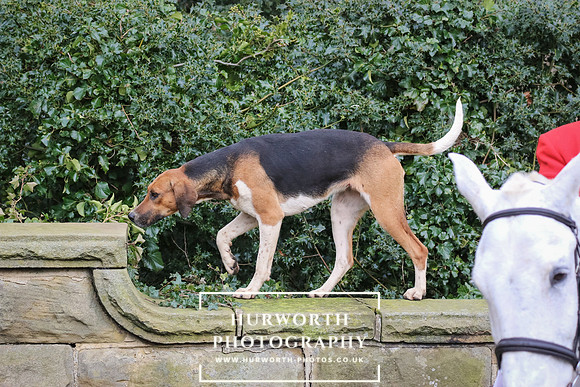 Hurworth Hunt 034