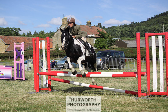 2013 Osmotherley Show 346