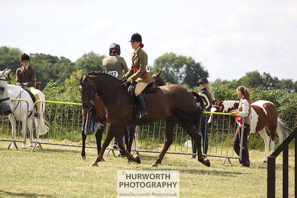 2013 Osmotherley Show 144