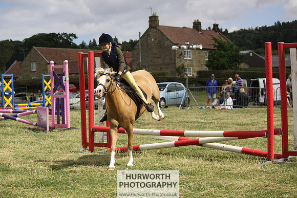 2013 Osmotherley Show 056