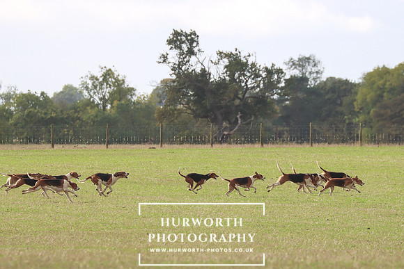Hurowth Hunt 26