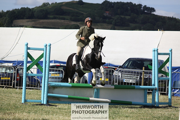 2013 Osmotherley Show 344