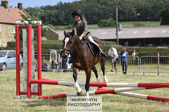 2013 Osmotherley Show 067